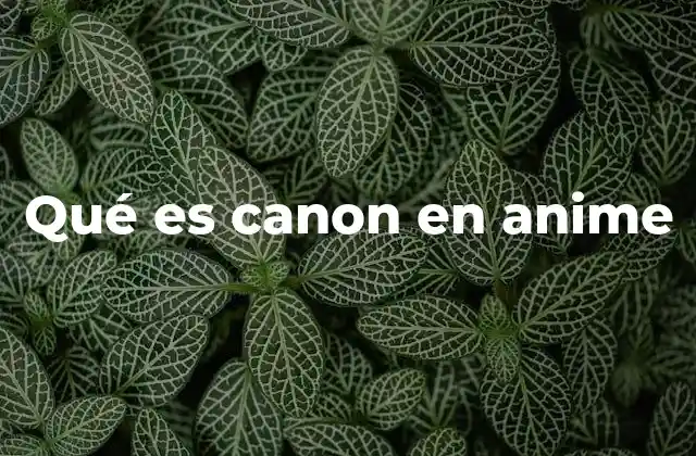 Qué es Canon en Anime