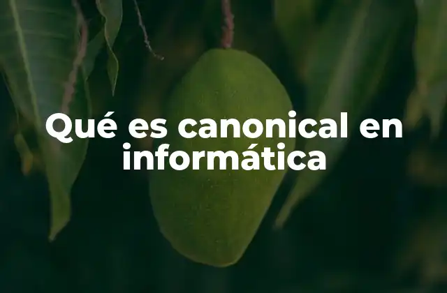 Qué es Canonical en Informática