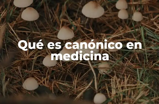 Qué es Canónico en Medicina