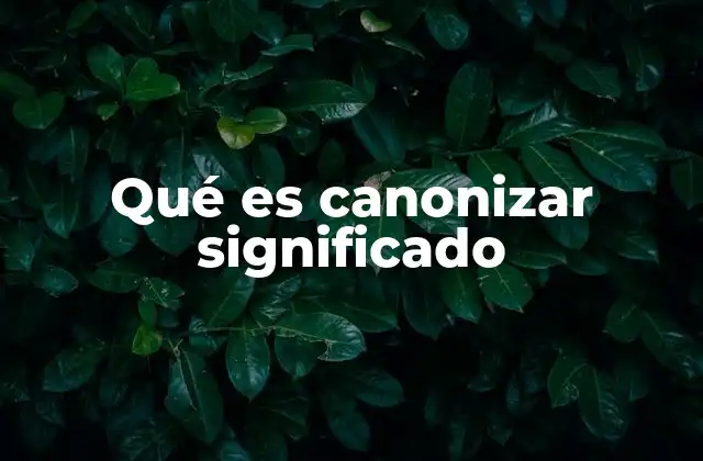 Qué es Canonizar Significado