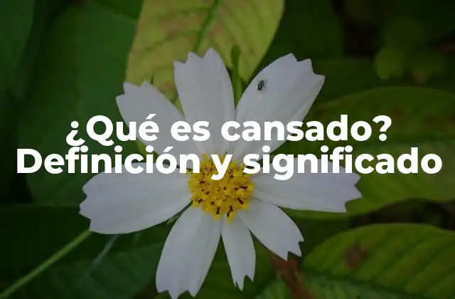 ¿qué es Cansado? Definición y Significado
