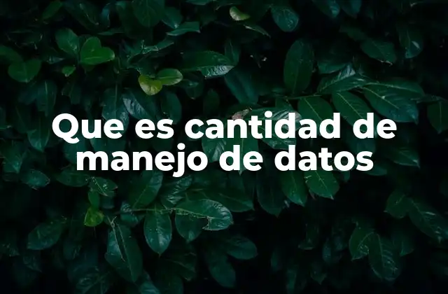 Que es Cantidad de Manejo de Datos
