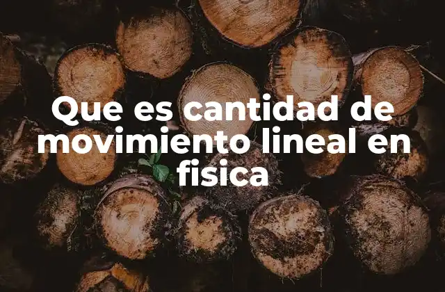 Que es Cantidad de Movimiento Lineal en Fisica