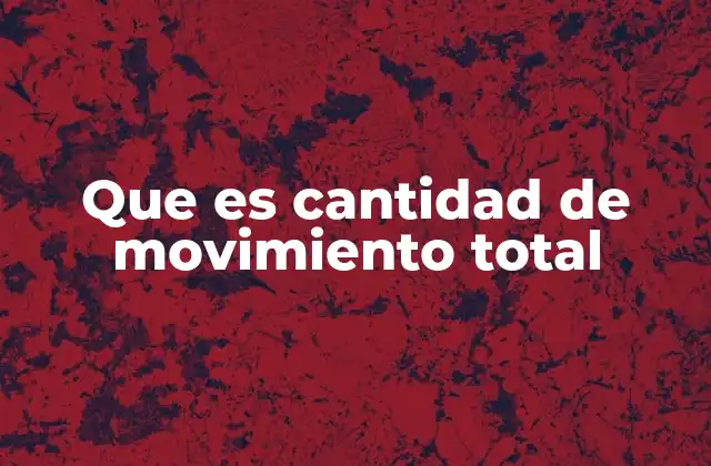 Que es Cantidad de Movimiento Total
