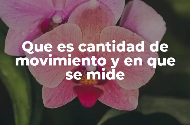 Cómo se relaciona la masa y la velocidad con el movimiento