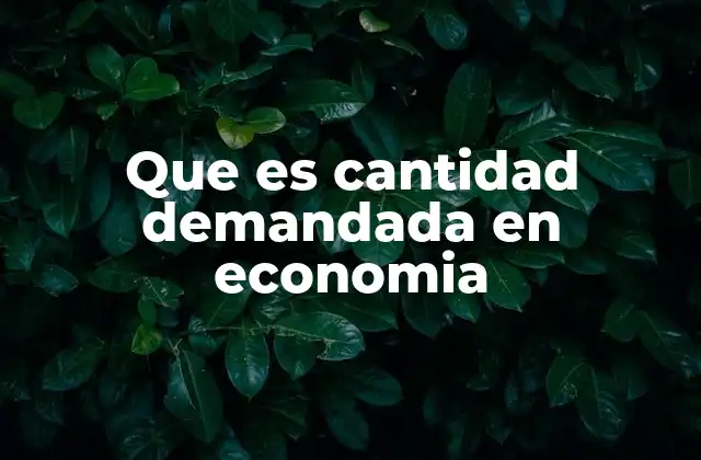 Que es Cantidad Demandada en Economia