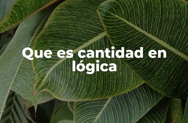Que es Cantidad en Lógica