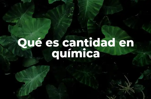 Qué es Cantidad en Química