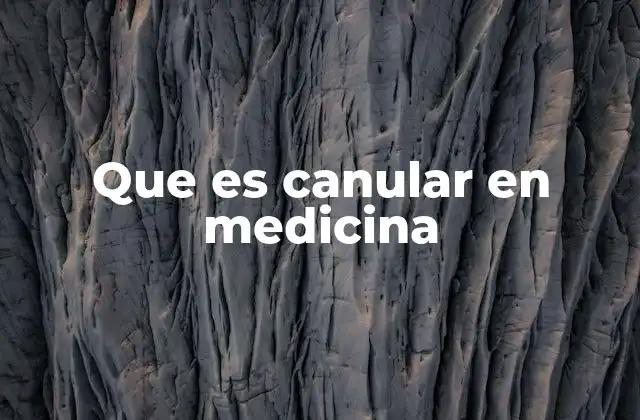 Que es Canular en Medicina