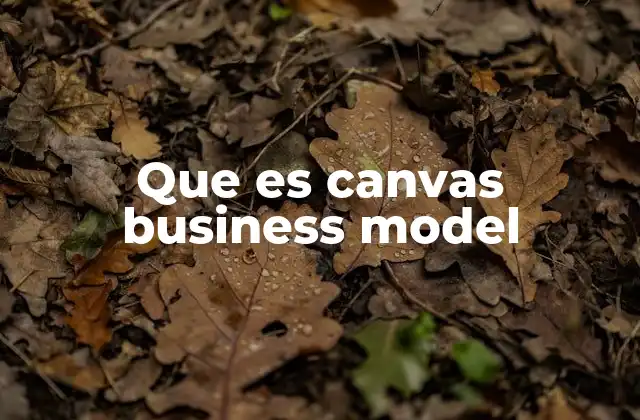 Que es Canvas Business Model