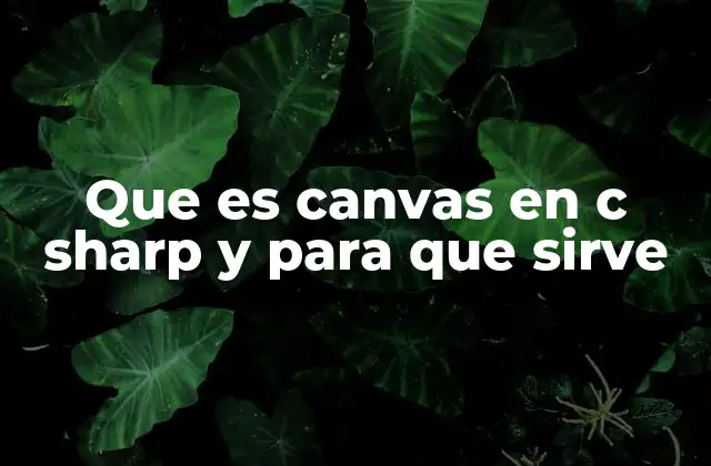 Que es Canvas en C Sharp y para que Sirve