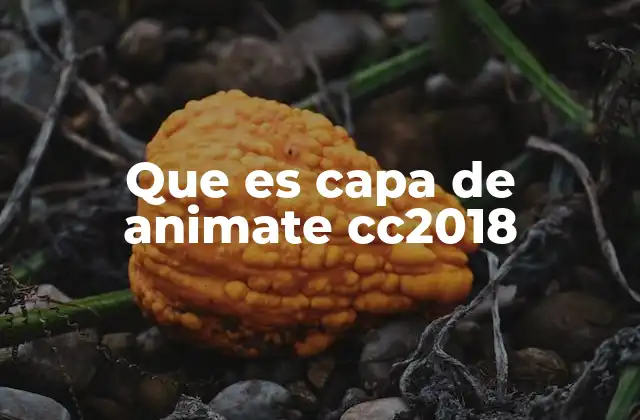 Que es Capa de Animate Cc2018