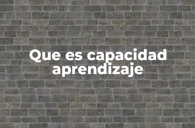 Que es Capacidad Aprendizaje
