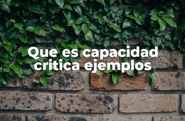 Que es Capacidad Critica Ejemplos