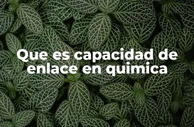 Que es Capacidad de Enlace en Quimica