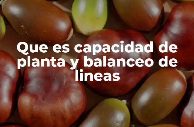 Que es Capacidad de Planta y Balanceo de Lineas
