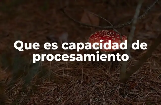 Que es Capacidad de Procesamiento