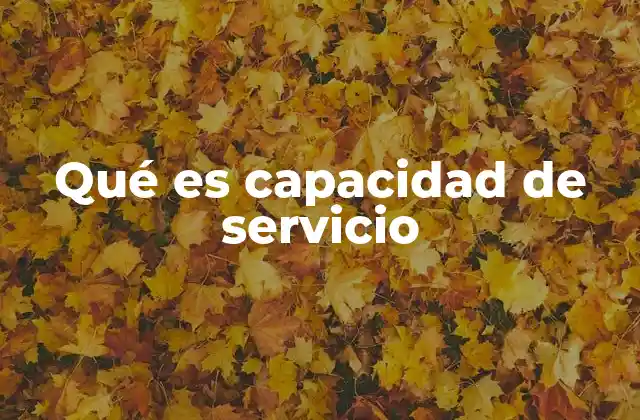 Qué es Capacidad de Servicio