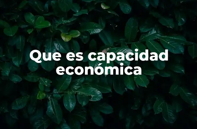 Que es Capacidad Económica 2 La importancia de evaluar la capacidad económica