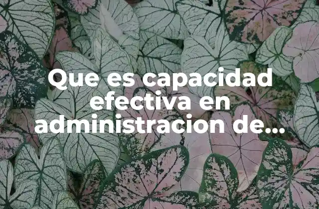 Factores que influyen en la capacidad efectiva