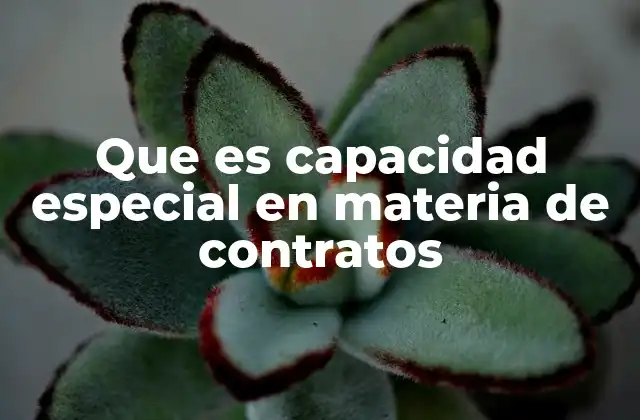 Que es Capacidad Especial en Materia de Contratos