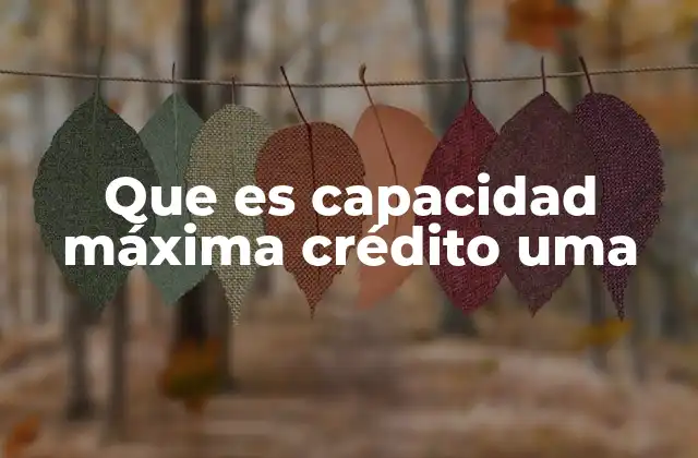 Que es Capacidad Máxima Crédito Uma