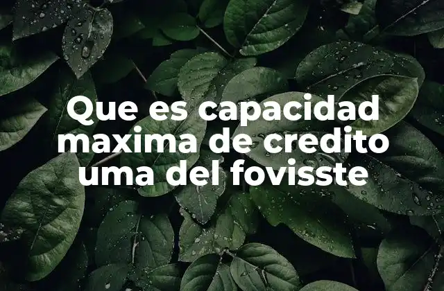 Que es Capacidad Maxima de Credito Uma Del Fovisste 2 Cómo se calcula la capacidad máxima de crédito en UMAs