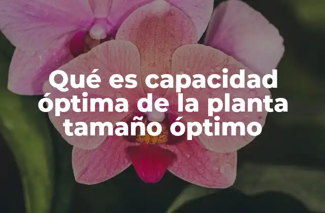 Qué es Capacidad Óptima de la Planta Tamaño Óptimo