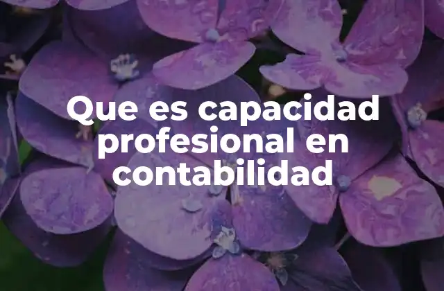 Que es Capacidad Profesional en Contabilidad