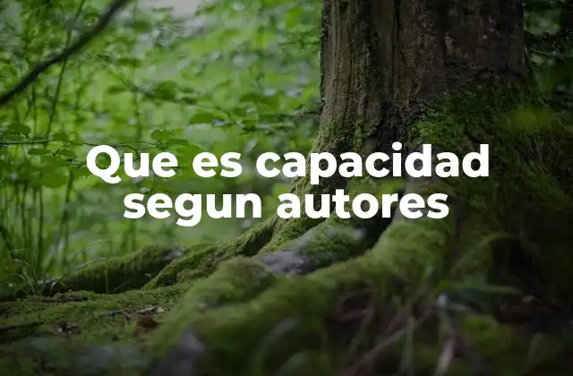 Que es Capacidad Segun Autores