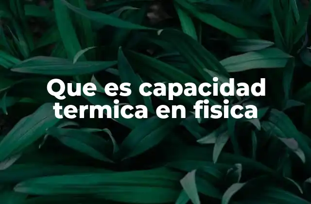 Que es Capacidad Termica en Fisica