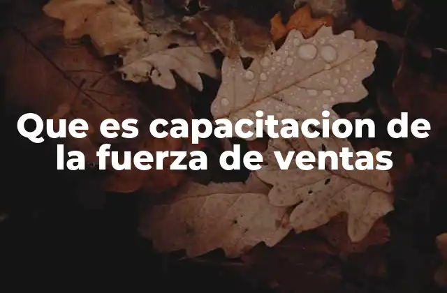 Que es Capacitacion de la Fuerza de Ventas 2 El impacto de una formación efectiva en el desempeño de los vendedores