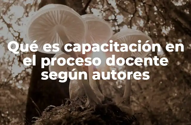 Qué es Capacitación en el Proceso Docente según Autores