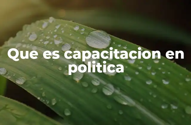 Que es Capacitacion en Politica