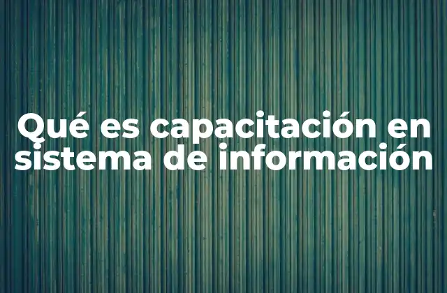 Qué es Capacitación en Sistema de Información