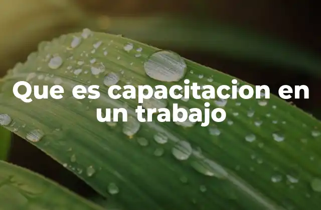 El papel de la formación en la evolución profesional