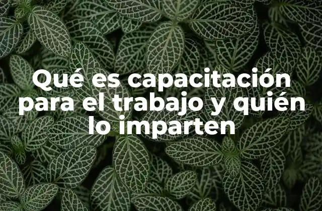 Qué es Capacitación para el Trabajo y Quién Lo Imparten