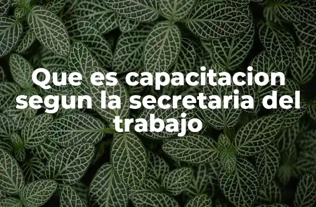 Que es Capacitacion Segun la Secretaria Del Trabajo