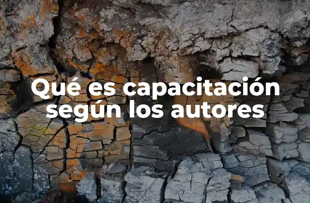 Qué es Capacitación según los Autores