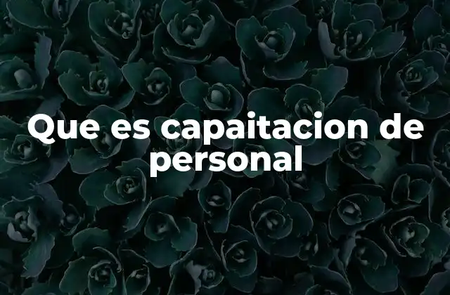 Que es Capaitacion de Personal