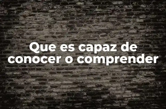 Que es Capaz de Conocer o Comprender