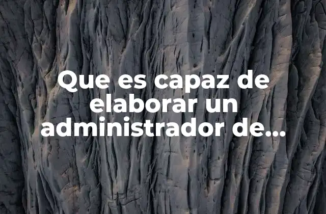 Que es Capaz de Elaborar un Administrador de Empresas