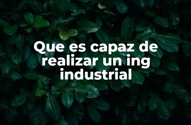 Que es Capaz de Realizar un Ing Industrial