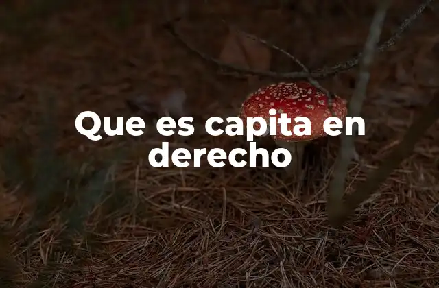 Que es Capita en Derecho