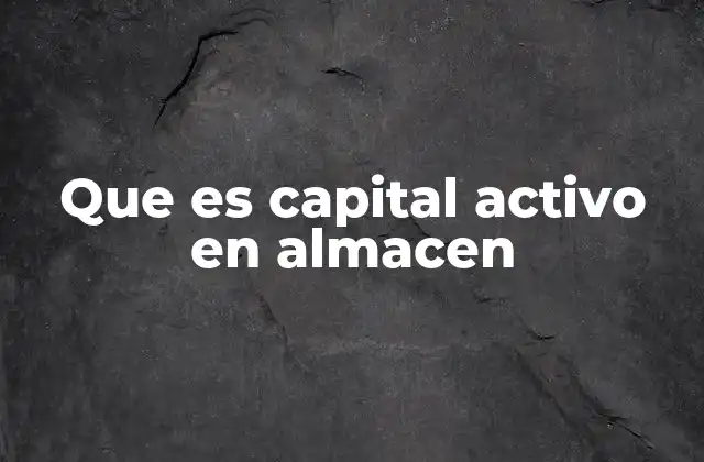 Que es Capital Activo en Almacen