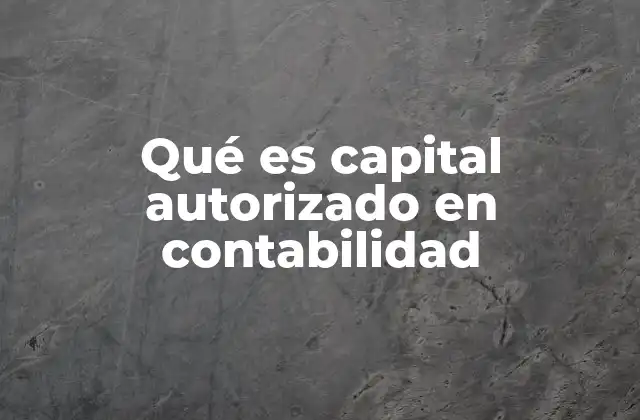 Qué es Capital Autorizado en Contabilidad