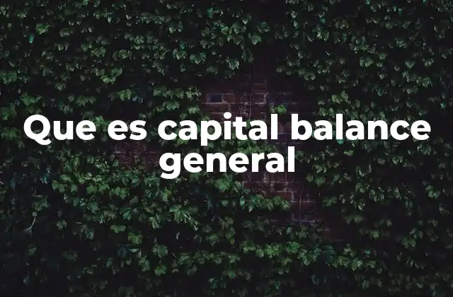Que es Capital Balance General 2 El rol del capital dentro del patrimonio neto