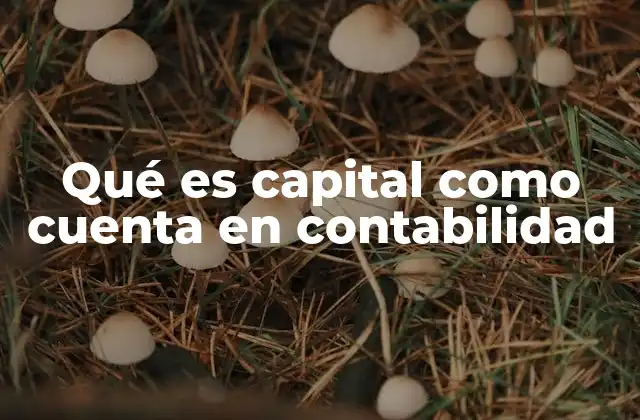 Qué es Capital como Cuenta en Contabilidad