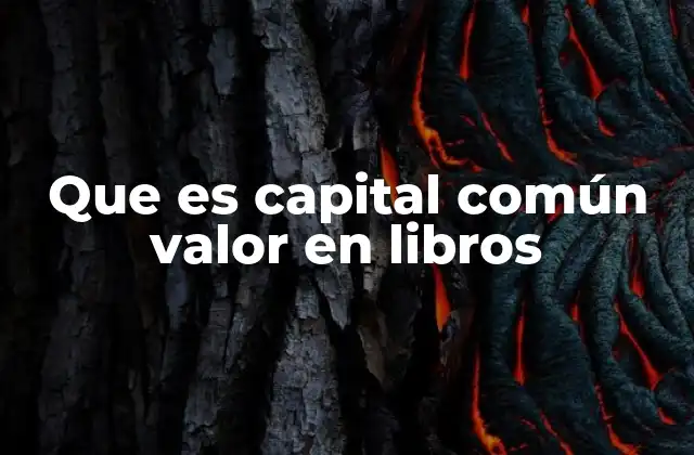 Que es Capital Común Valor en Libros