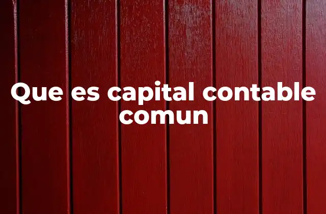 Que es Capital Contable Comun